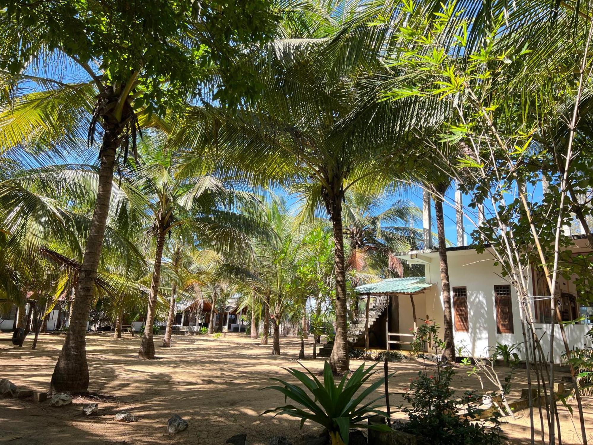Sand Dune Beach Resort & Surf Camp Arugam Bay Exterior photo